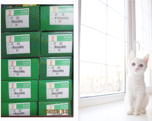 CAT大，中，小臂油封